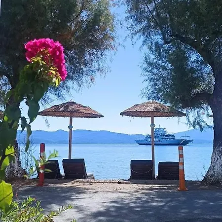 Blu Daire Glífa