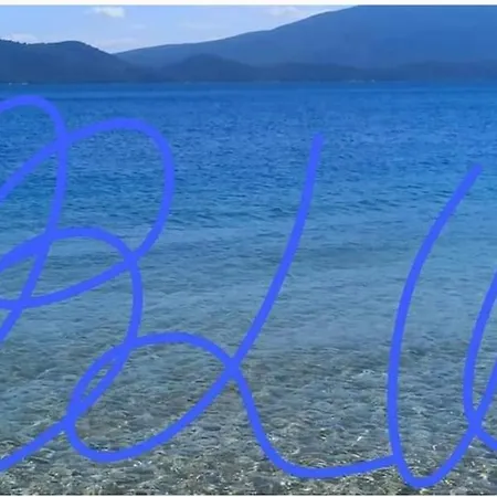 Blu Glifa (Stylida)