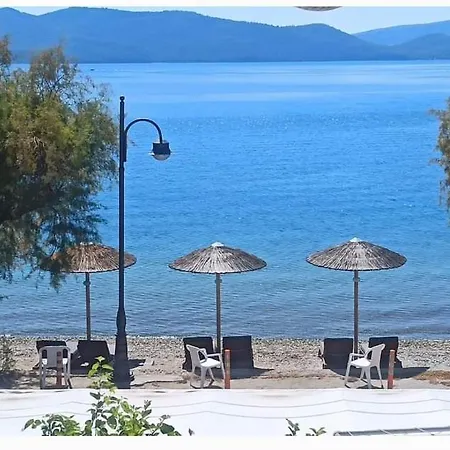 Blu Glifa (Stylida)