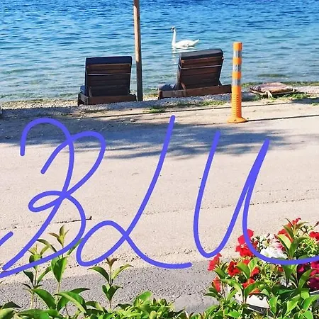 Blu Glifa (Stylida)