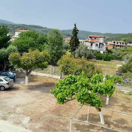 Daire Blu *
